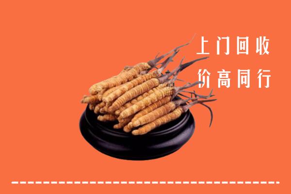 高价求购：得荣县回收散虫草