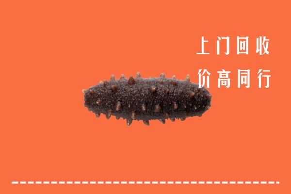 高价求购：得荣县回收海参