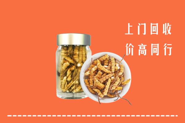 得荣县回收冬虫夏草